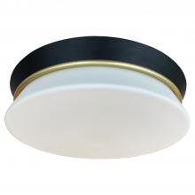 Vinci Lighting Inc. FM8039SB/BK - Flush Mount Satin Brass/Black