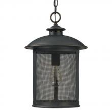 Capital 9614OB - Dylan Hanging Lantern