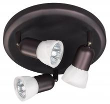 Canarm ICW356A03ORB10 - James 1 Light Ceiling Light, Oil Rubbed Bronze Finish