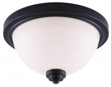 Canarm IFM326A13BK - Portia 2 Light Flush Mount, Black Finish