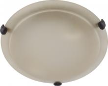 Whitfield ESFM55-12ASCF - LED 2 Light Flush Mount