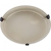 Whitfield ESFM55-12ASCF - LED 2 Light Flush Mount