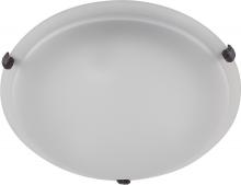 Whitfield FM10-16AWEBZ - 3 Light Flush Mount