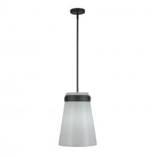 Artcraft AC10640BK - Dahlia 1 Light Pendant 12", Black