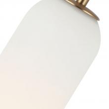Maxilite MX 2585C3A23 - Callisto