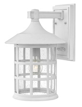 Hinkley Canada 1805CW - Medium Wall Mount Lantern