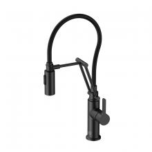 Elegant FAK-304MBK - Leonardo Single Handle Pull Down Sprayer Kitchen Faucet in Matte Black