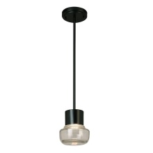 Eglo Canada 204448A - 1 LT Integrated LED Indoor/Outdoor Mini Pendant w/ Black Finish & Clear Glass