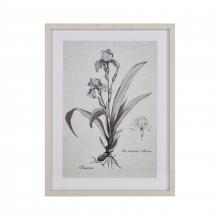 ELK Home S0056-10633 - Iris Botanic Framed Wall Art