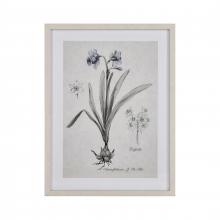 ELK Home S0056-10634 - Daffodil Botanic Framed Wall Art