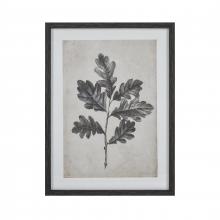 ELK Home S0056-10635 - Oak I Botanic Framed Wall Art