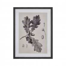 ELK Home S0056-10636 - Oak II Botanic Framed Wall Art